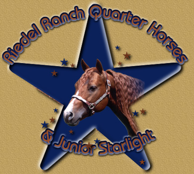 Welcome to Riedel Ranch Quarter Horses!