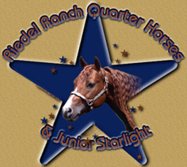 Welcome to Riedel Ranch Quarter Horses!